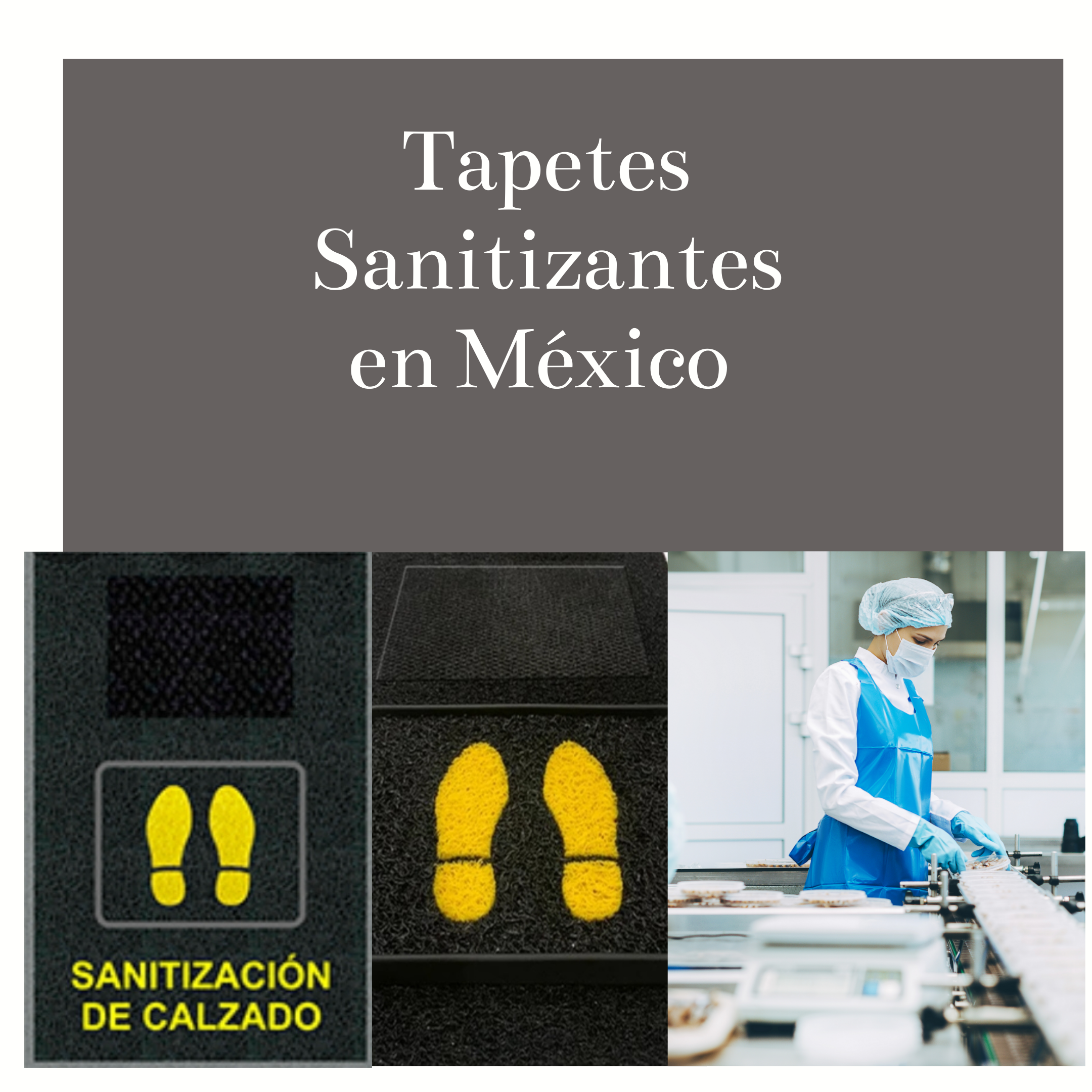 Tapetes Sanitizantes  en México 