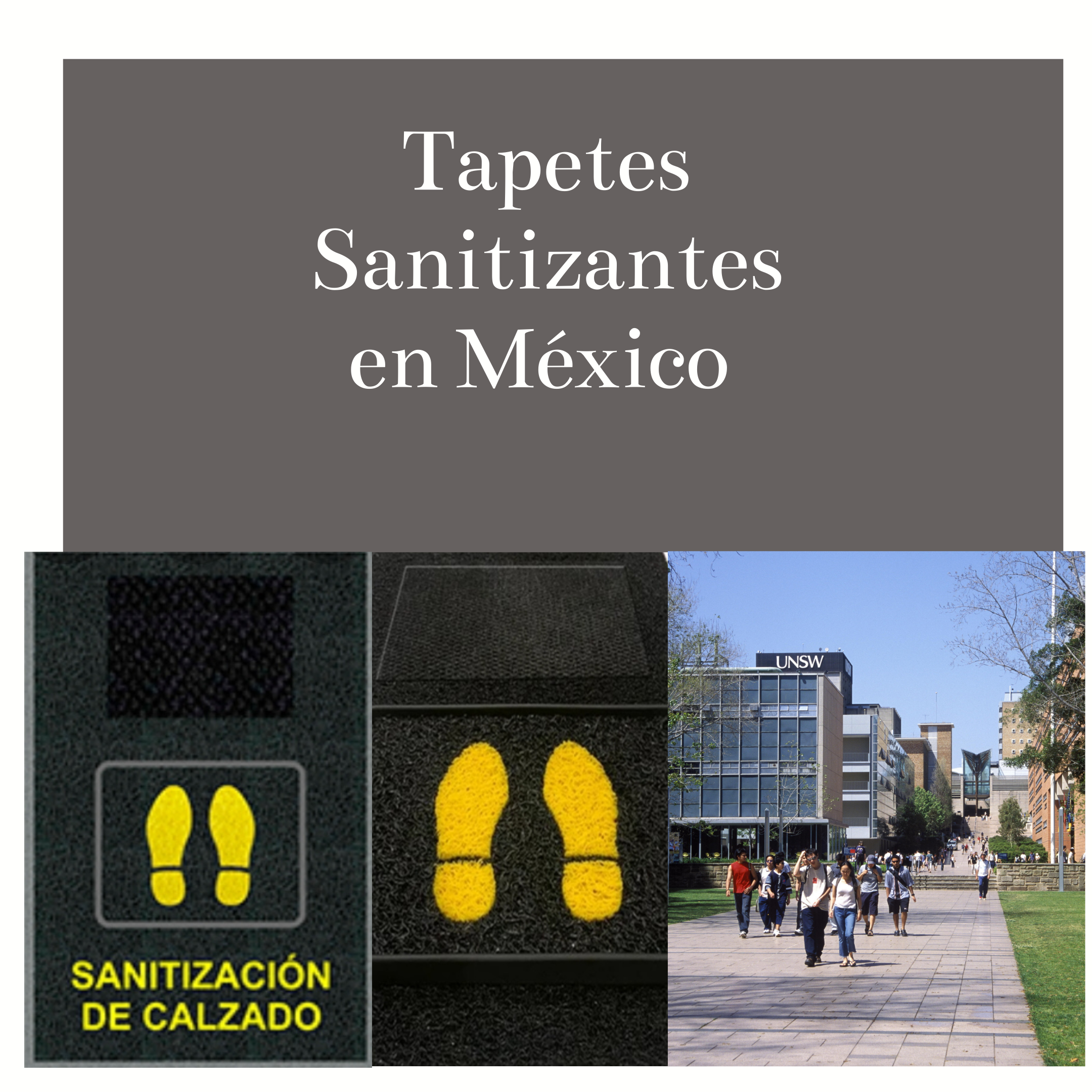 Tapetes Sanitizantes  en México 