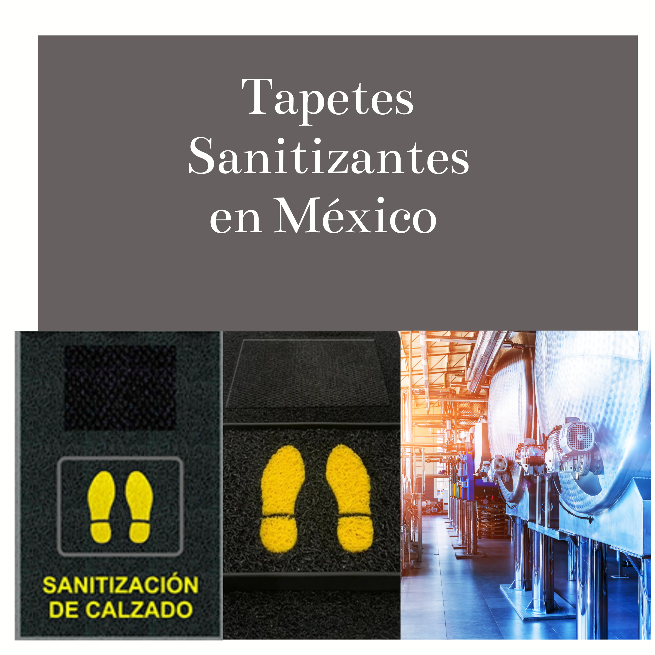 Tapetes Sanitizantes  en México 