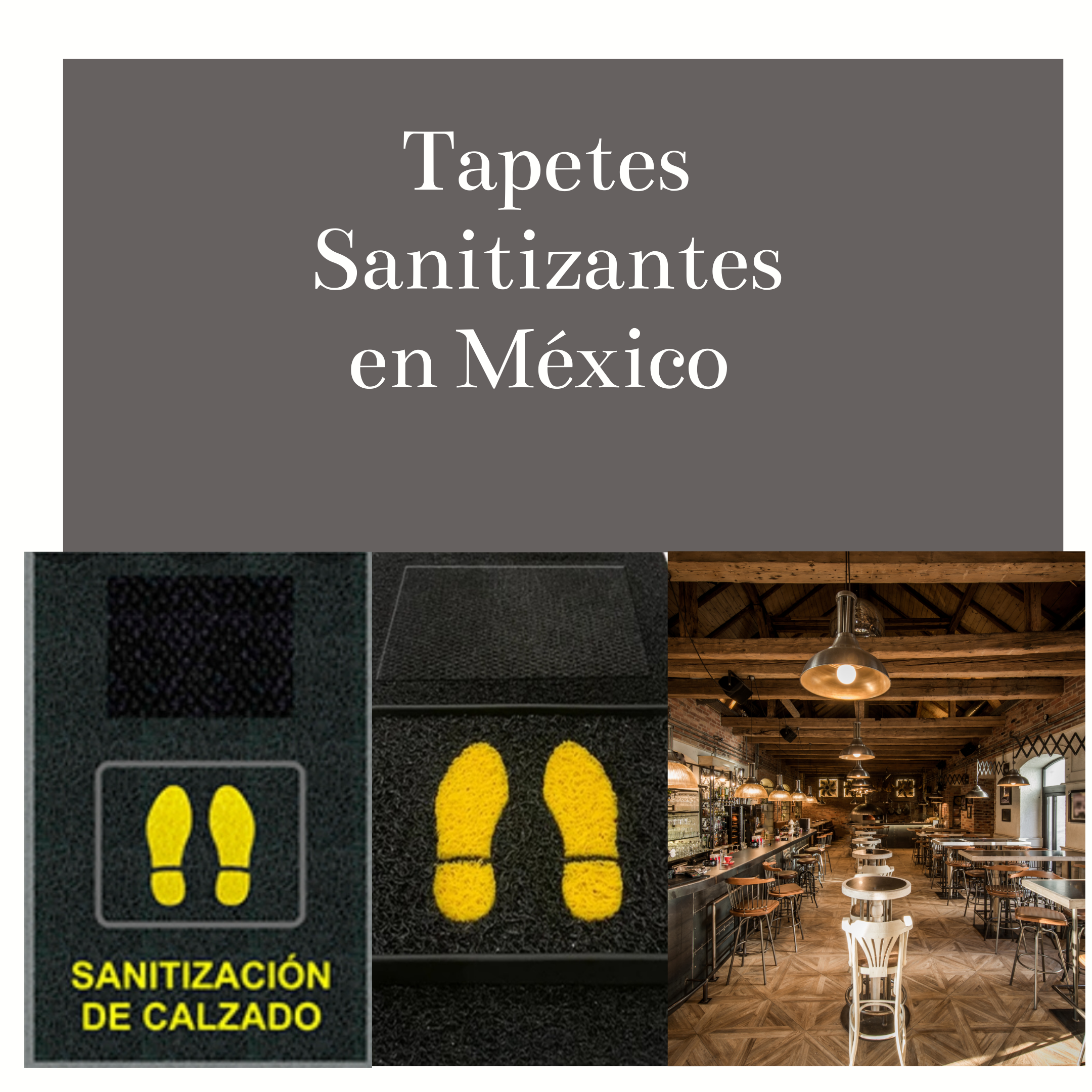 Tapetes Sanitizantes  en México 